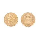 Spanish gold coin. Alfonso XII 1880.
