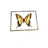 Hallmarked silver framed mounted butterfly paperweight approximate measurements: Height 4 inches,