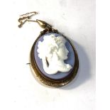 Gold plated cameo agate brooch