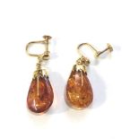 14ct gold screw back amber earrings measure approx 3.8cm drop weight 7.1g