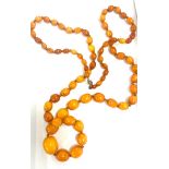 Antique egg yolk amber necklace, gold clasp, approximate weight 44.9g