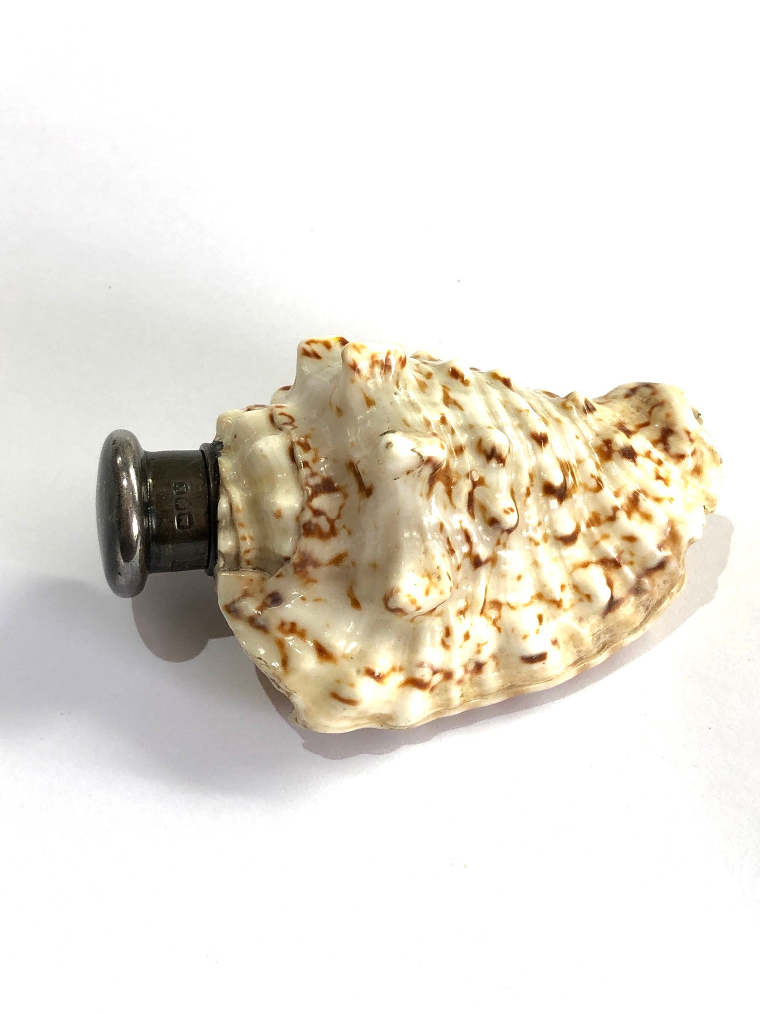 Antique samson morden silver mounted seashell scent bottle