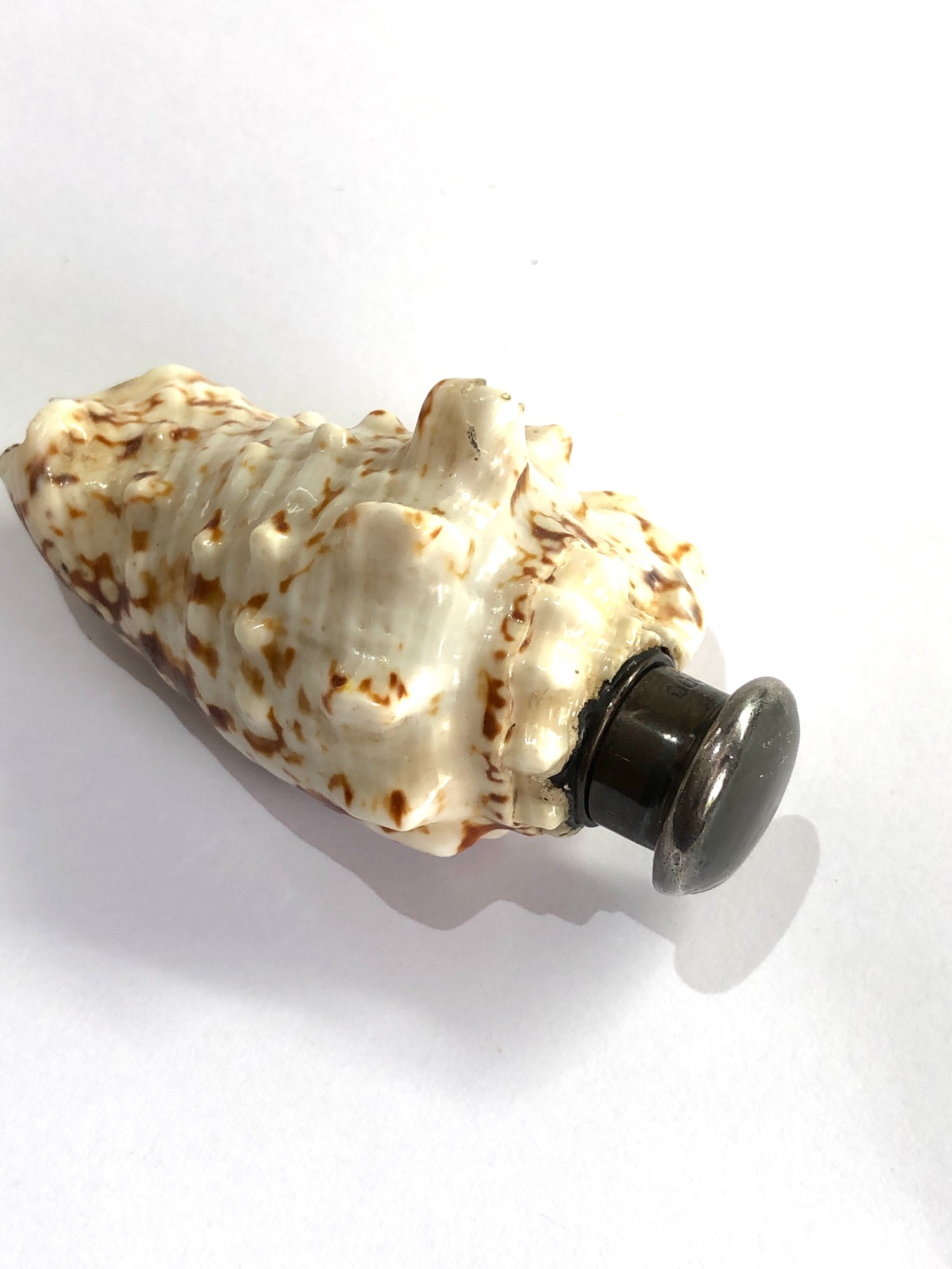 Antique samson morden silver mounted seashell scent bottle - Image 2 of 4