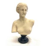 Small make bust on plinth, overall approximate height: 12 inches
