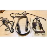 Horse tack, reins etc