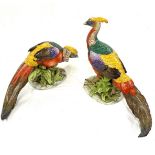 Pair early Sitzendorf pheasants, damage as seen in images, Height 14 inches, Width 19.5 inches