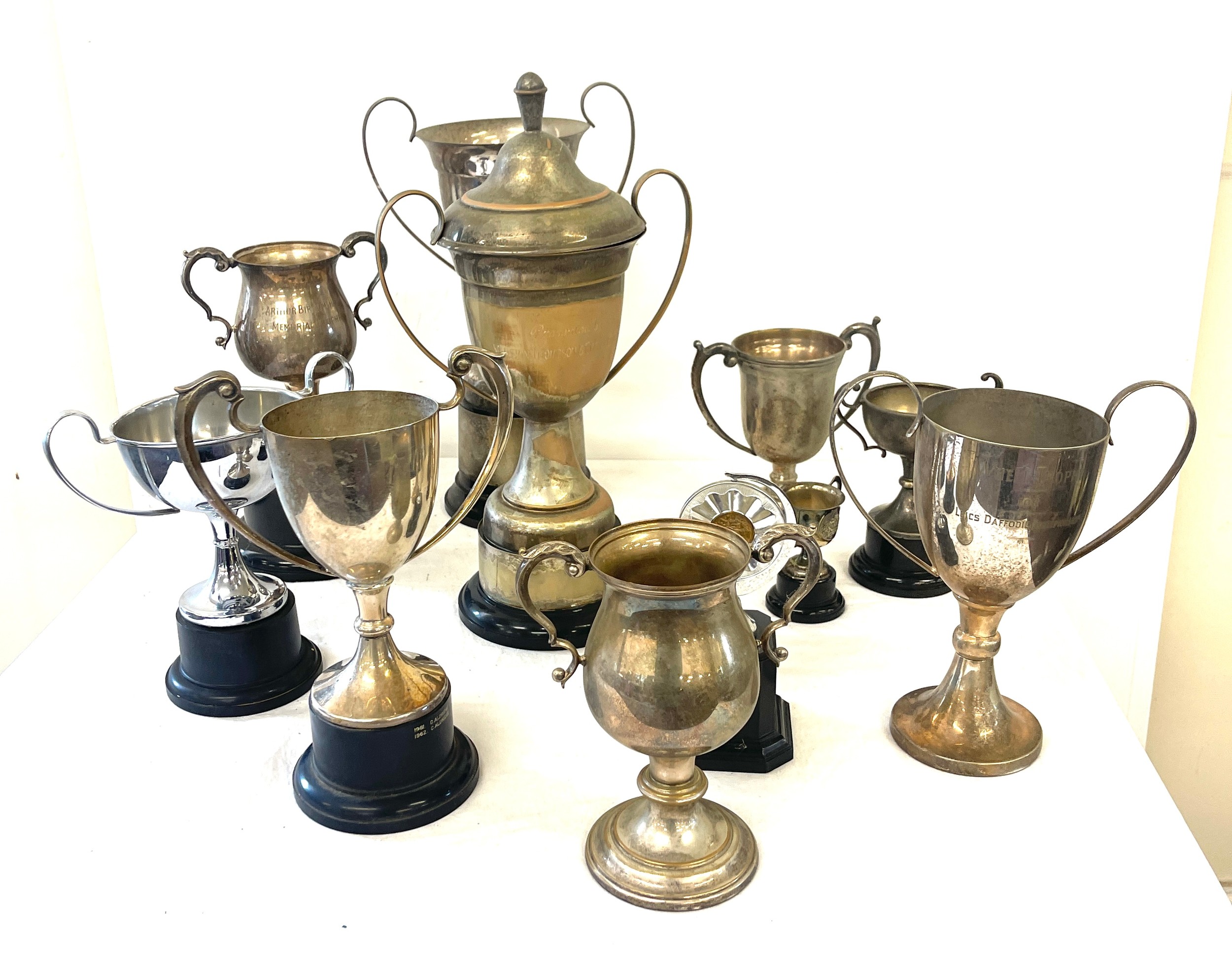 Selection of silver plated trophies