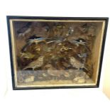 Vintage cased selection of taxidermy birds, approximate measurement of case Height 21.5 inches,