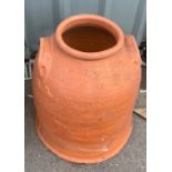 Rhubarb terracota forcer