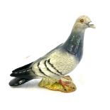 Beswick pigeon 1383 over all good condition