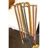Selection of 9 wooden walking sticks