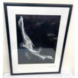 Local artist Phil Monk, signed framed split series photographic art, titled Chrysalis - Breaking
