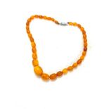 String of baltic amber bead necklace, approximate weight 14.3g