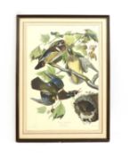 Audubon (James), Summer or Wood Ducks, colour print