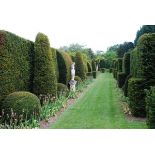 A tour of Odsey Park Gardens with afternoon tea,