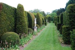 A tour of Odsey Park Gardens with afternoon tea,