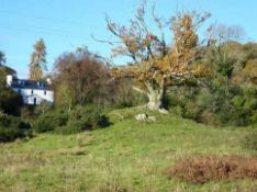 Little Boreland Holiday Home, SW Scotland (Dumfries & Galloway),