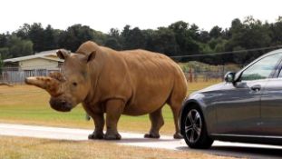 Entry into Woburn Safari Park,