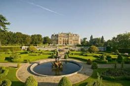 Champagne afternoon tea for two,