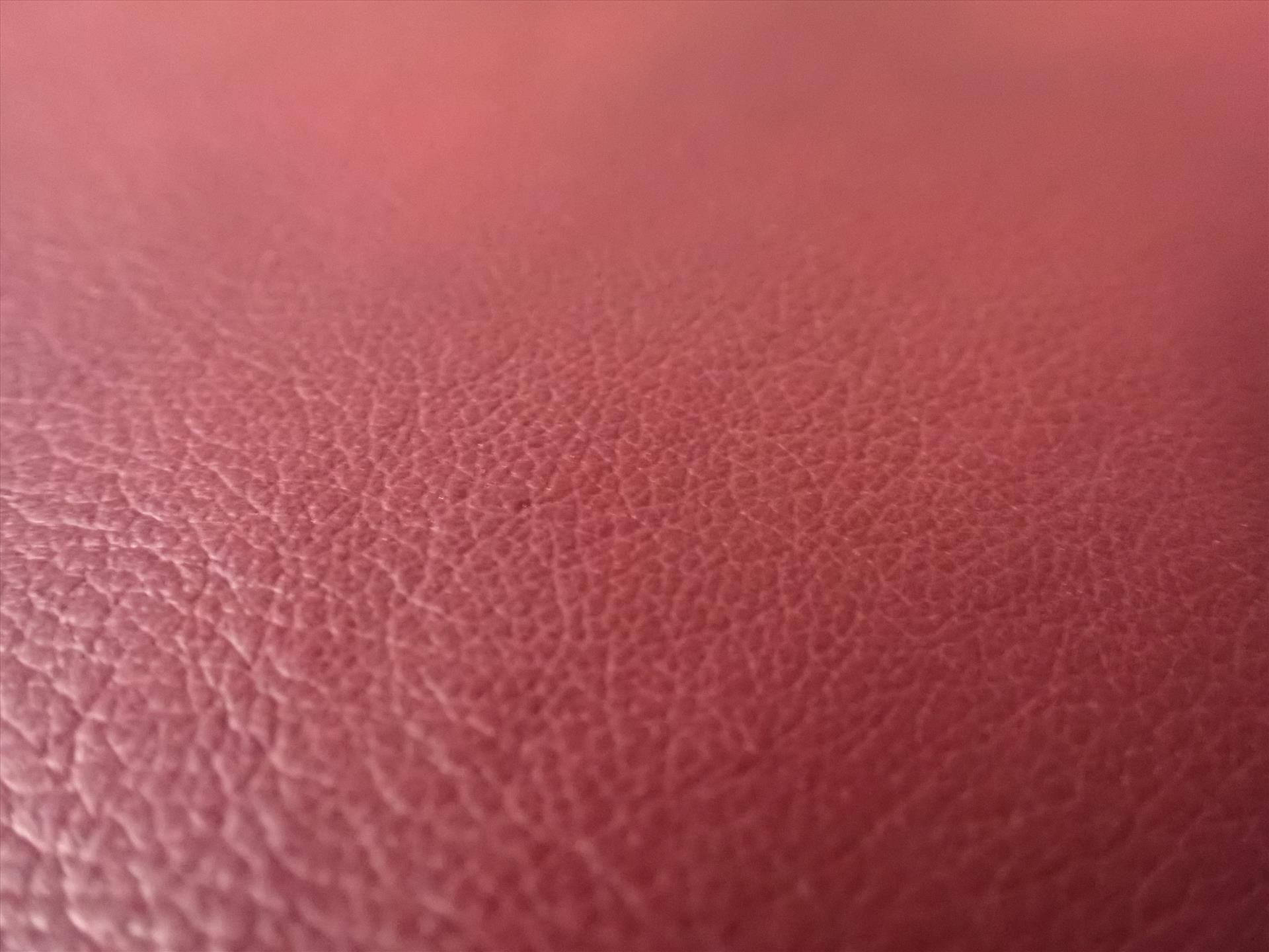 Leather, Supreme/Nutra/Bordeaux, partial hide, approx. 30 sq ft - Image 2 of 2