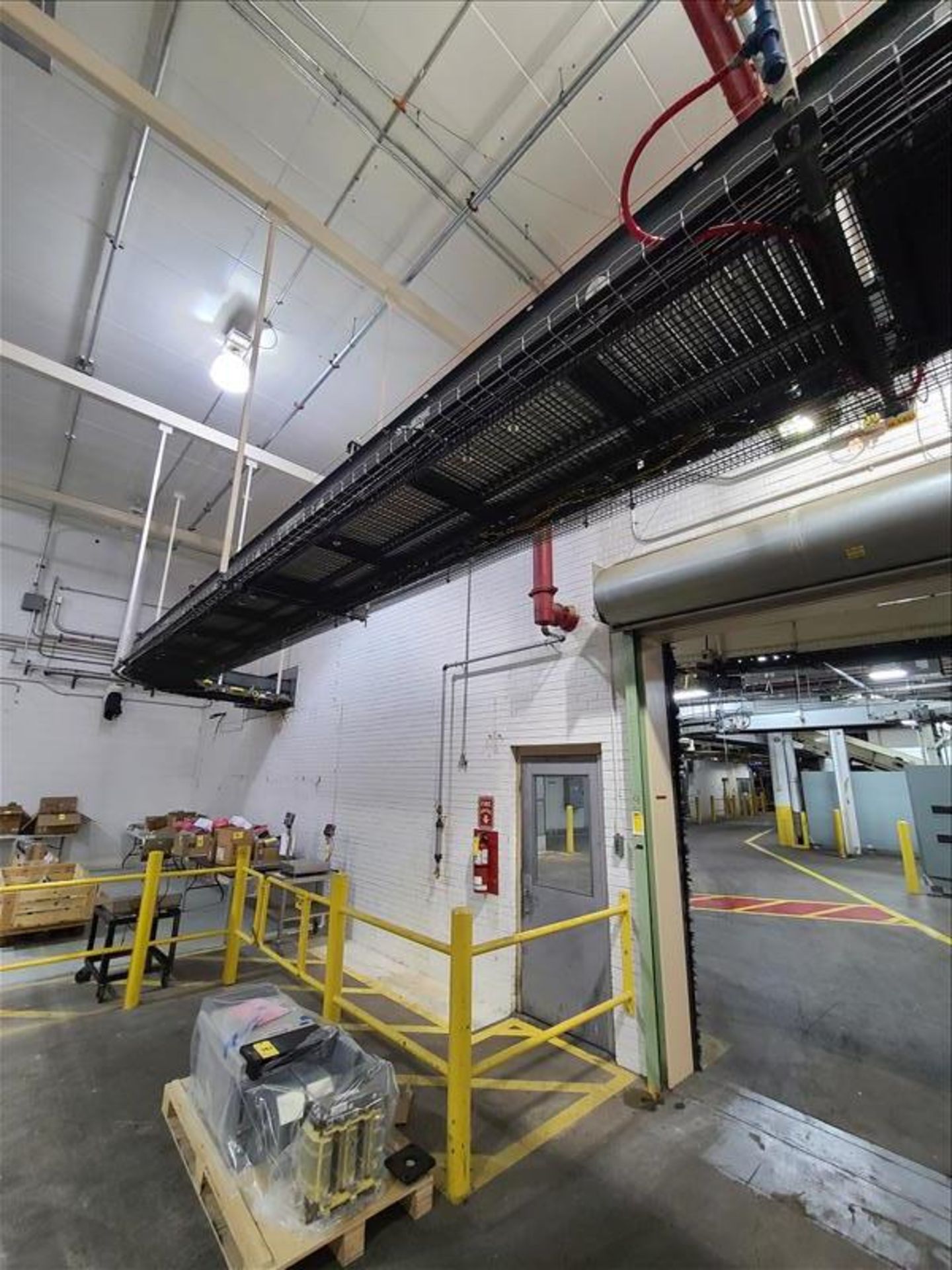 Power roller belt conveyor to robot palletizer, 310'l x 24"w [Packaging Line 8] - Image 2 of 7