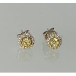 Pair yellow and white gold fancy light yellow diamond halo studs. 0.72ct total. Boxed. WGI