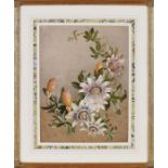 Six various floral framed studies