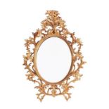 A late 19th century Florentine carved gilt wood mirror