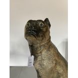 A late 19th / early 20th century Austrian cold painted composition model of a pug dog