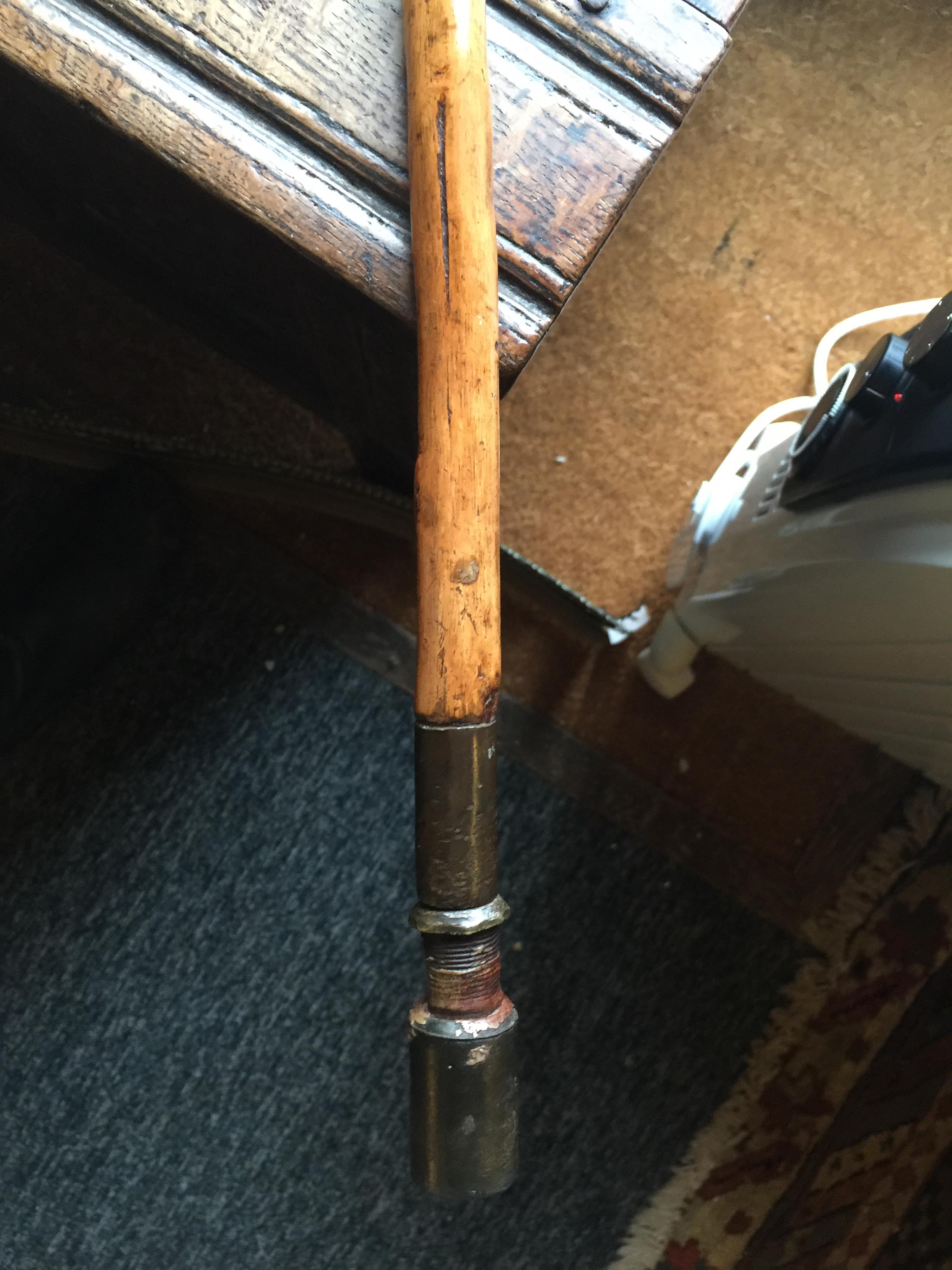 An Edwardian carved naturalistic walking stick - Image 6 of 11