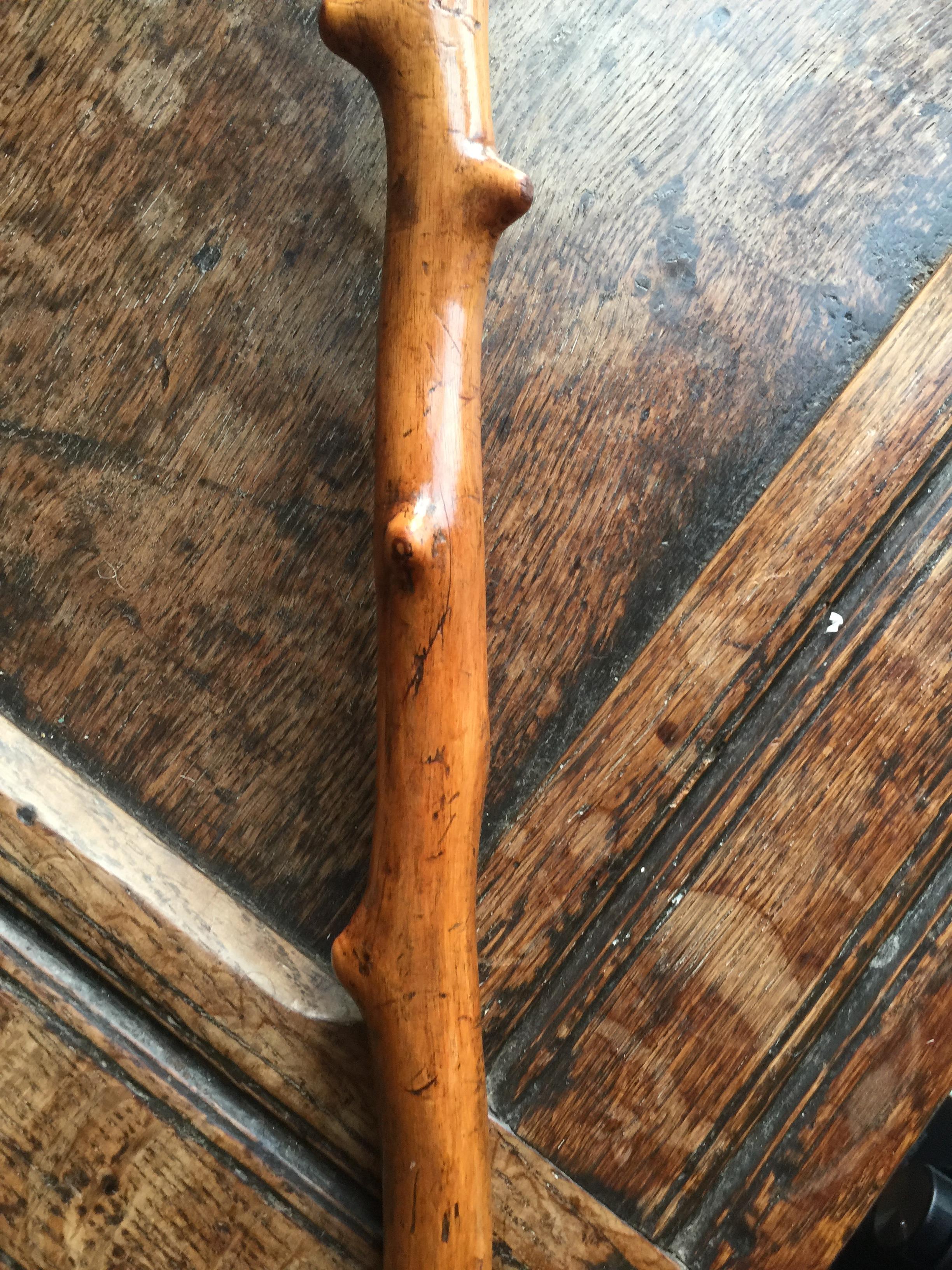 An Edwardian carved naturalistic walking stick - Image 9 of 11