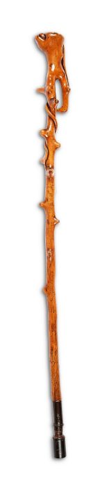 An Edwardian carved naturalistic walking stick - Image 2 of 11