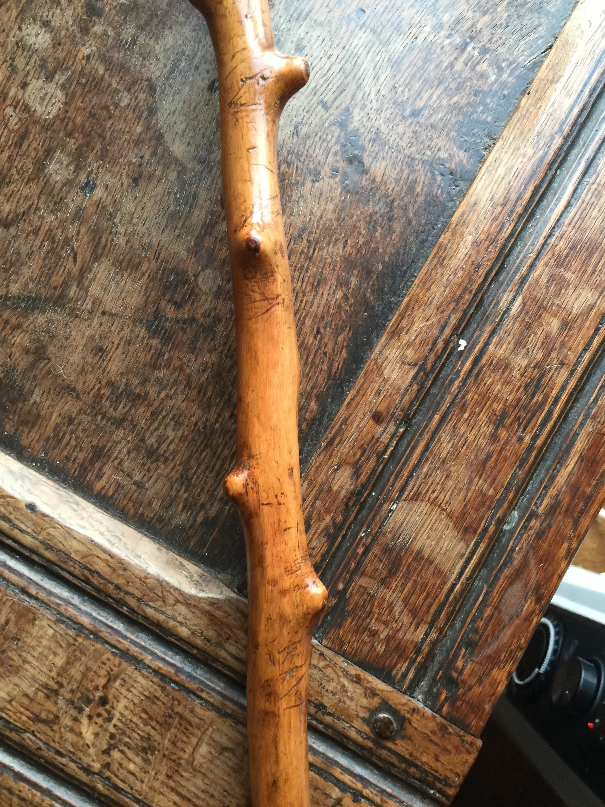 An Edwardian carved naturalistic walking stick - Image 5 of 11