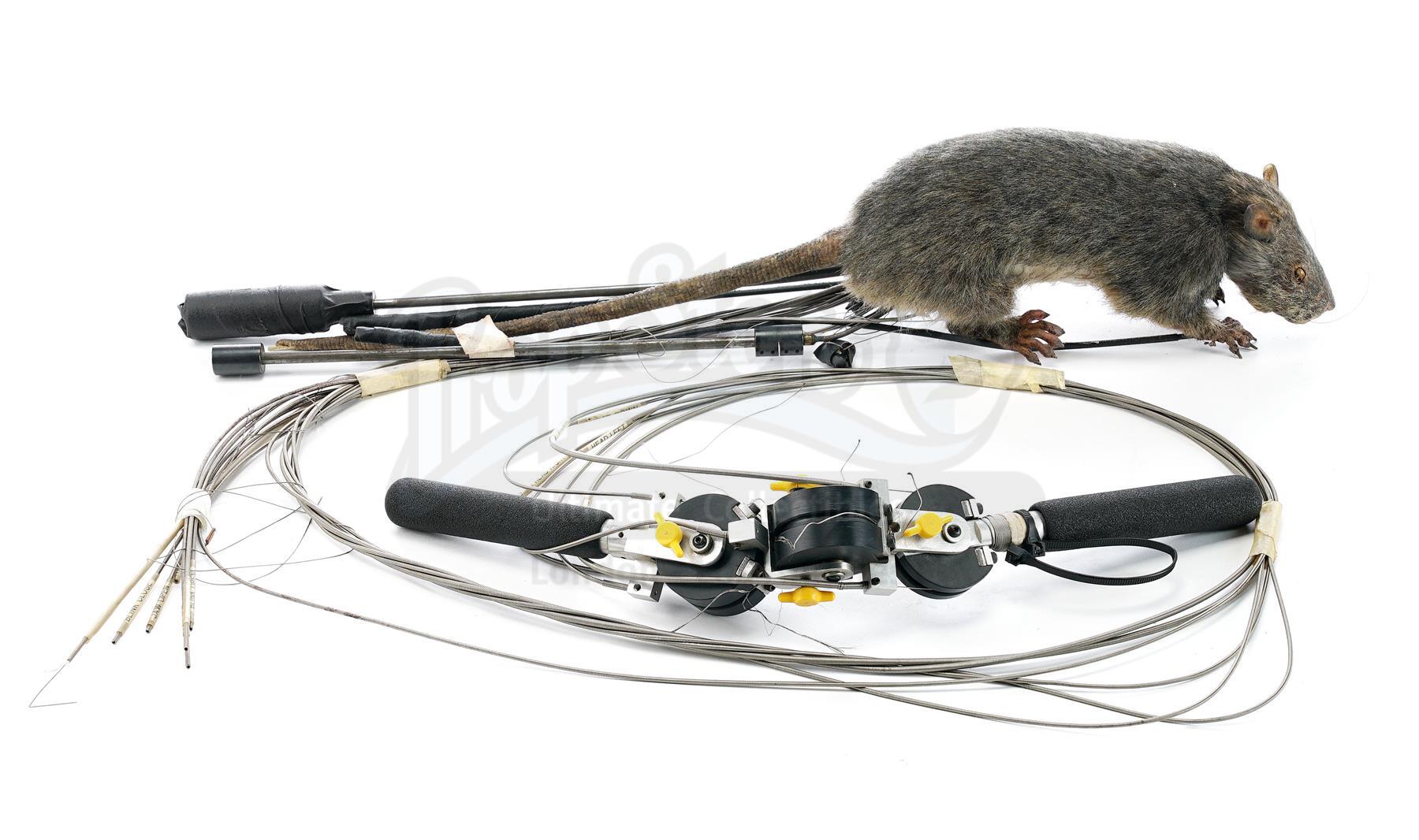 Lot # 1349: WILLARD - Animatronic Ben the Rat Puppet