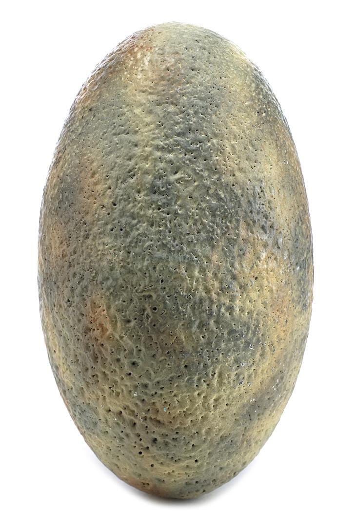 Lot # 153: JURASSIC PARK - Velociraptor Egg