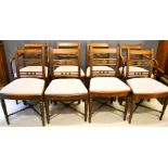 A set of eight Regency cherry wood dining chairs, with light blue velvet upholstered drop in seats.