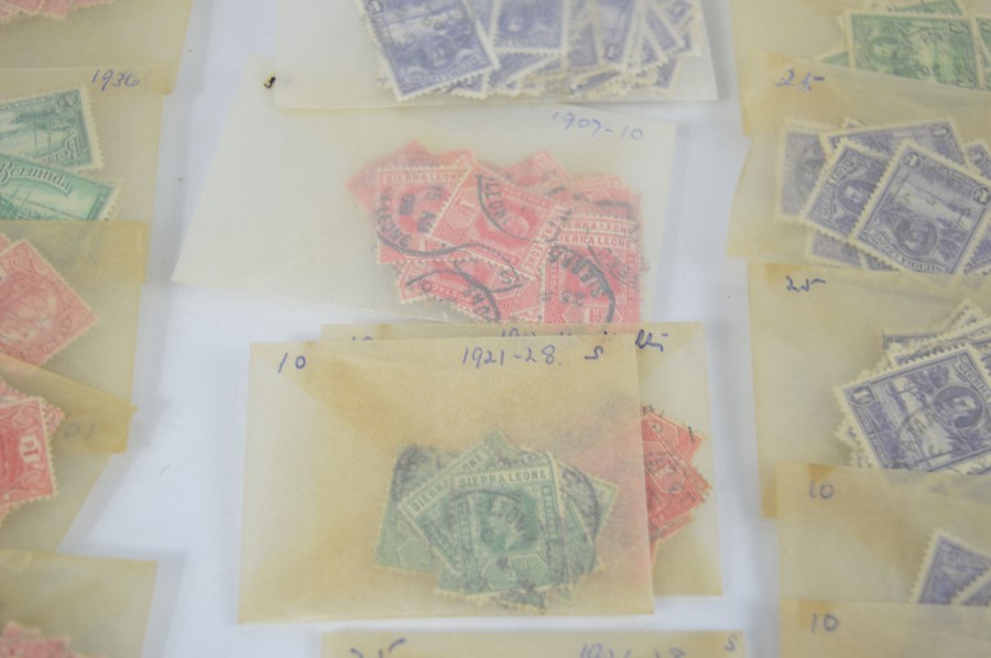 A selection of Sierra Leone and Bermuda stamps dating from 1907 to 1950s,approx 800 plus stamps - Image 2 of 5