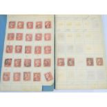 Two albums of Penny Red stamps, perforated and non-perforated examples, approx 315 stamps