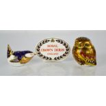 A Royal Crown Derby plaque LV, bird, and Athena Owl limited edition of 750, with box.