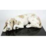A Lladro porcelain basset hound, 26cm long.