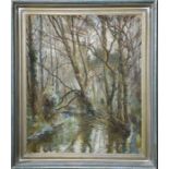 A Nikolsky (20th century): forest landscape, oil on canvas, 50 by 60cm.