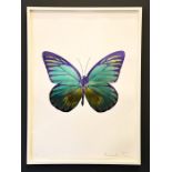 Damien Hirst, foil block print on white, limited edition 2/15, butterfly, signed by the artist in