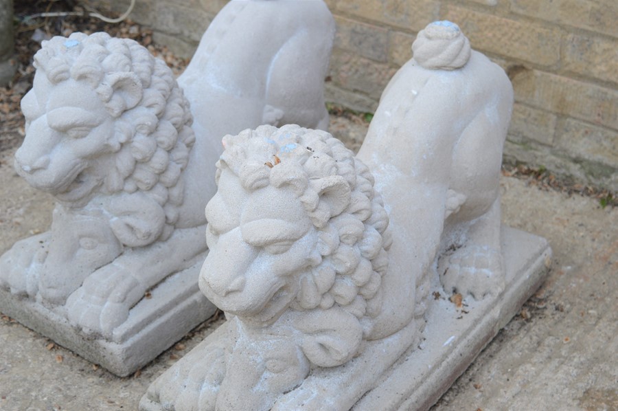 A pair of reconstituted stone lions leaning on rams heads and raised on a plinth, 60cm by 29cm by - Image 3 of 3