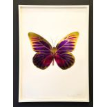 Damien Hirst, foil block print on white, limited edition 5/15, butterfly, signed by the artist in