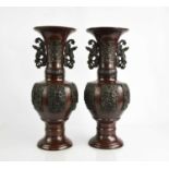 A pair of late 19th century Chinese bronze vases, cast with panels to the body depicting peacocks,