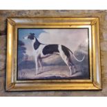 A greyhound print in gilt frame