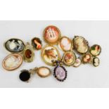 A group of vintage cameo and portrait brooches on shell and porcelain.