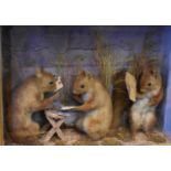 A Victorian taxidermy diorama with three red squirrels playing cards, and squirrel reading a