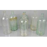 Six large glass poison bottles