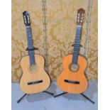 Two accoustic guitars with stands, Burswood and Leonora